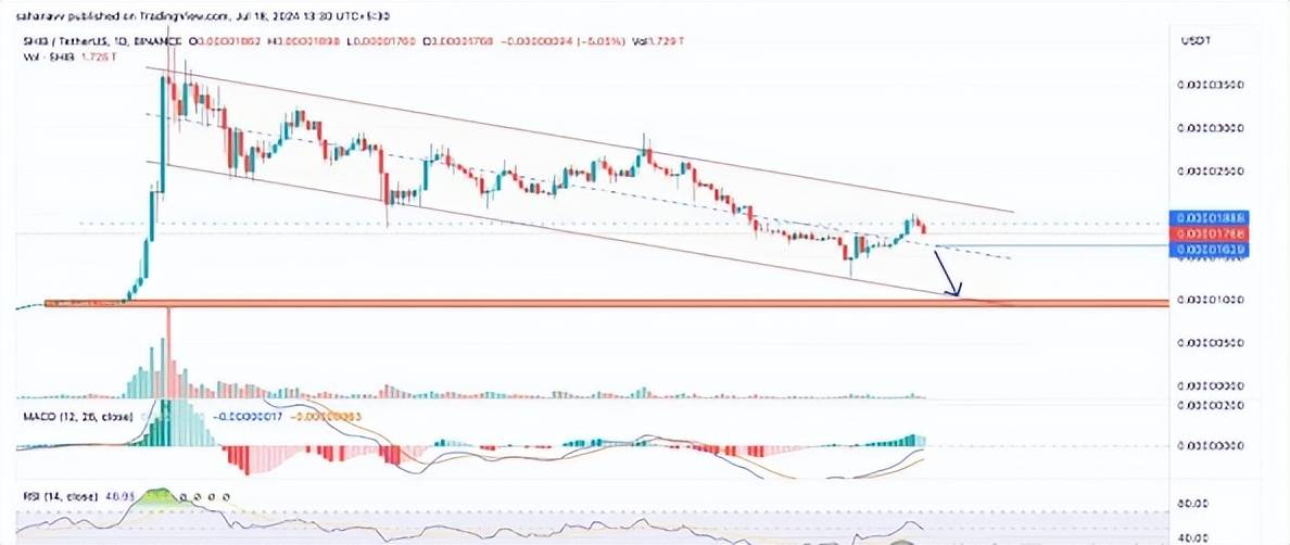 Doge和Shib价格失去动力：这些 Memecoin 的下一步走势如何！