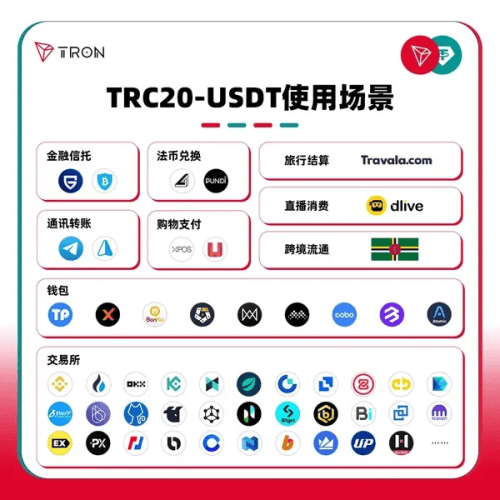 波场TRON：技术飞跃与生态和谐的双重绽放