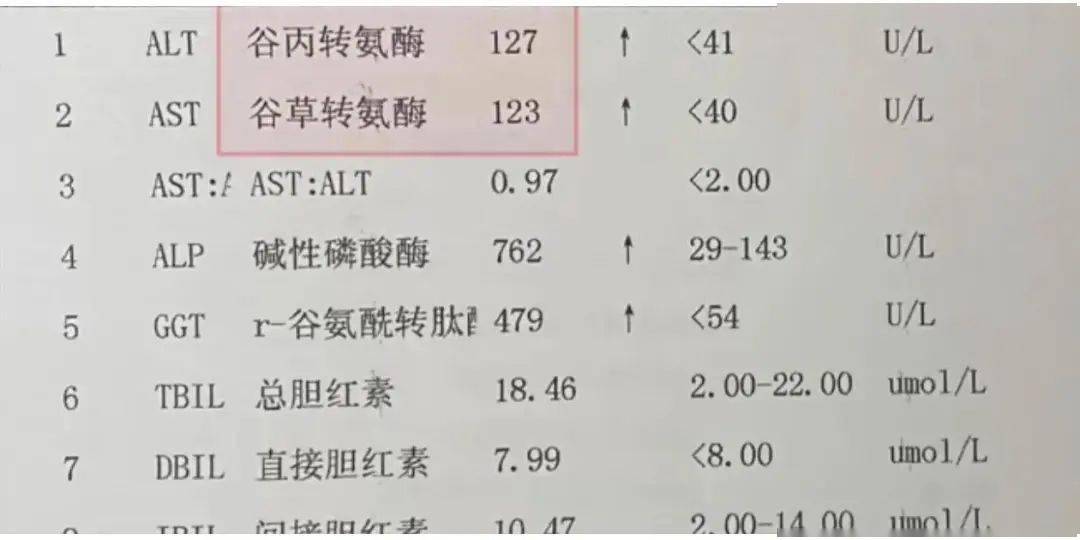 转氨酶↑，是什么意思？