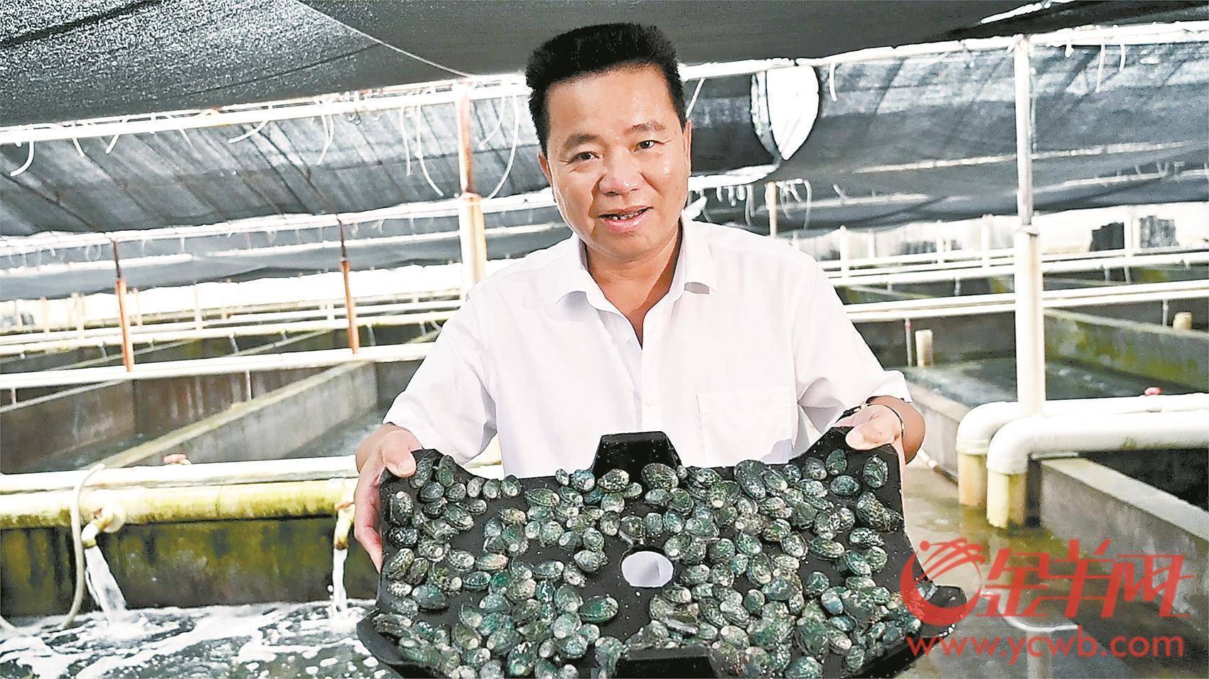 两巨无霸产业集群坐镇惠来 临海石化崛起"超级链主"