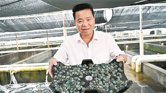两大巨无霸产业集群坐镇惠来 临海石化崛起“超级链主”