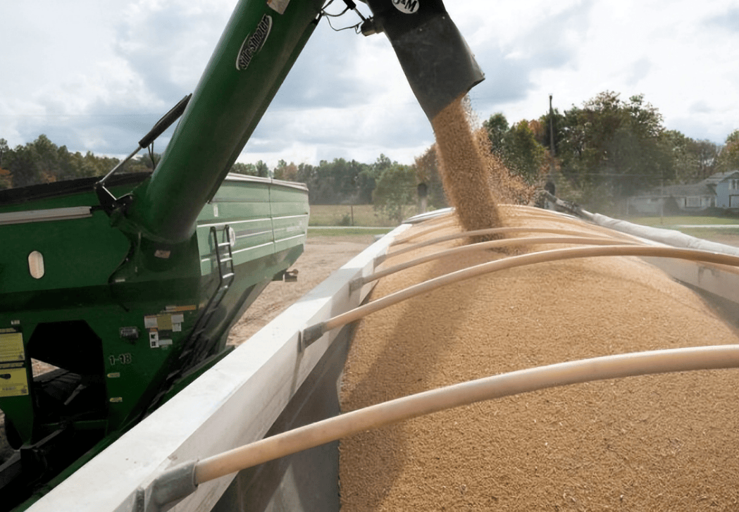 中美高层会晤前,中国被曝给了美国想要的,特朗普也宣布对华降税