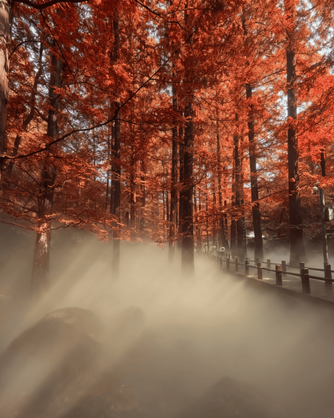 绝美!北京秋季颜值已达巅峰!这样定格最美秋天!