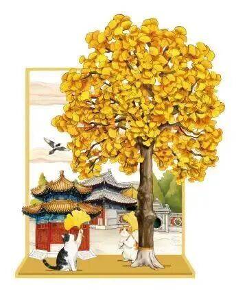 绝美!北京秋季颜值已达巅峰!这样定格最美秋天!