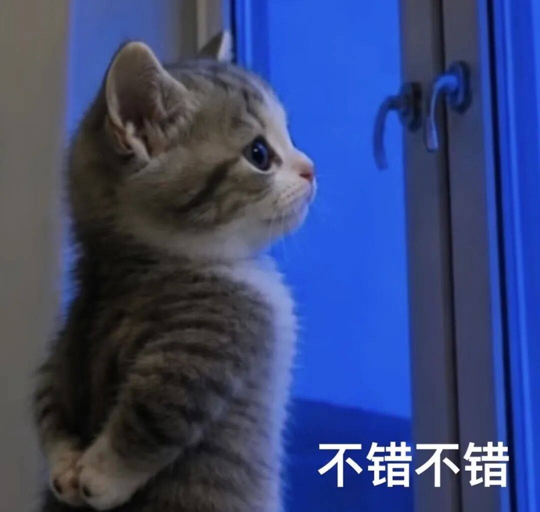 新台风“红霞”将生成,影响广东!广州有明显风雨