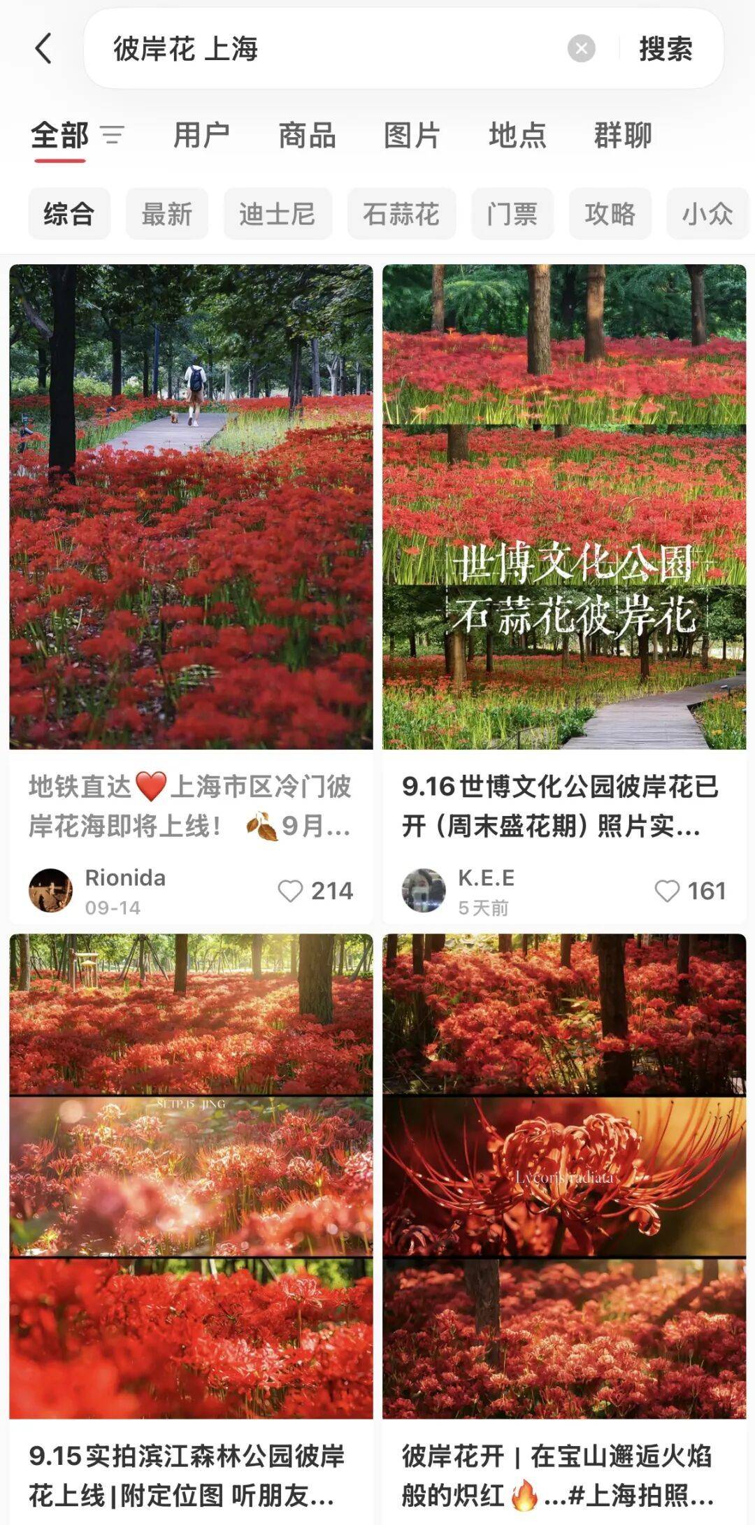 上海即将大降温,最低降到1字头!花中“顶流”进入盛开期,很美但别碰,有毒→