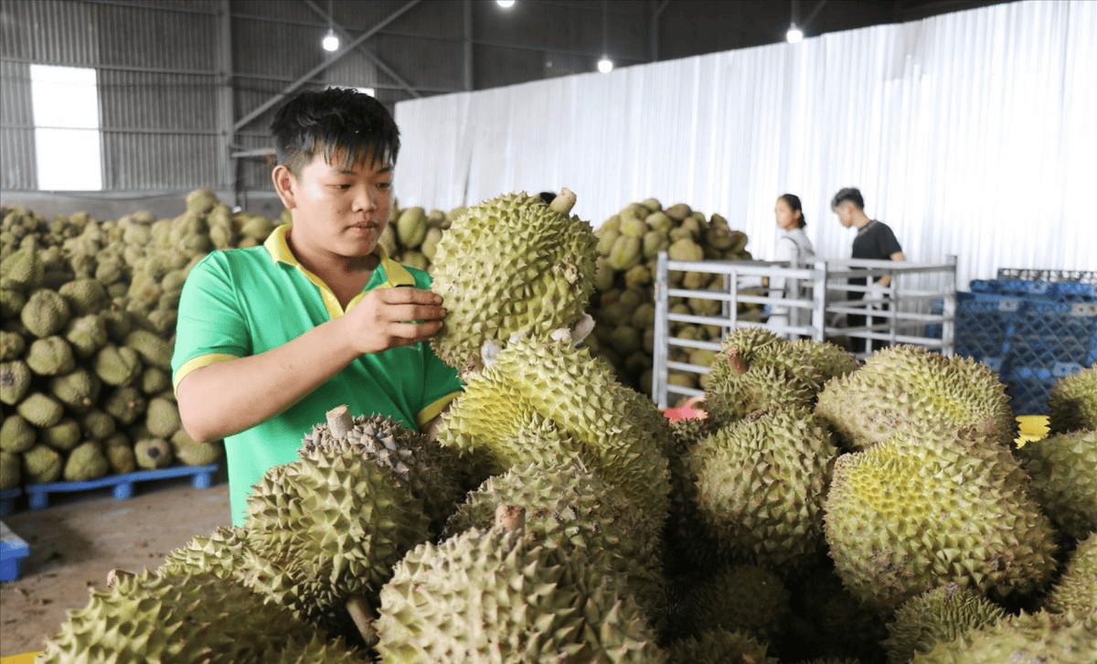 越南三号人物访华!越南上门提诉求,求中国两件大事,亡羊补牢为时未晚