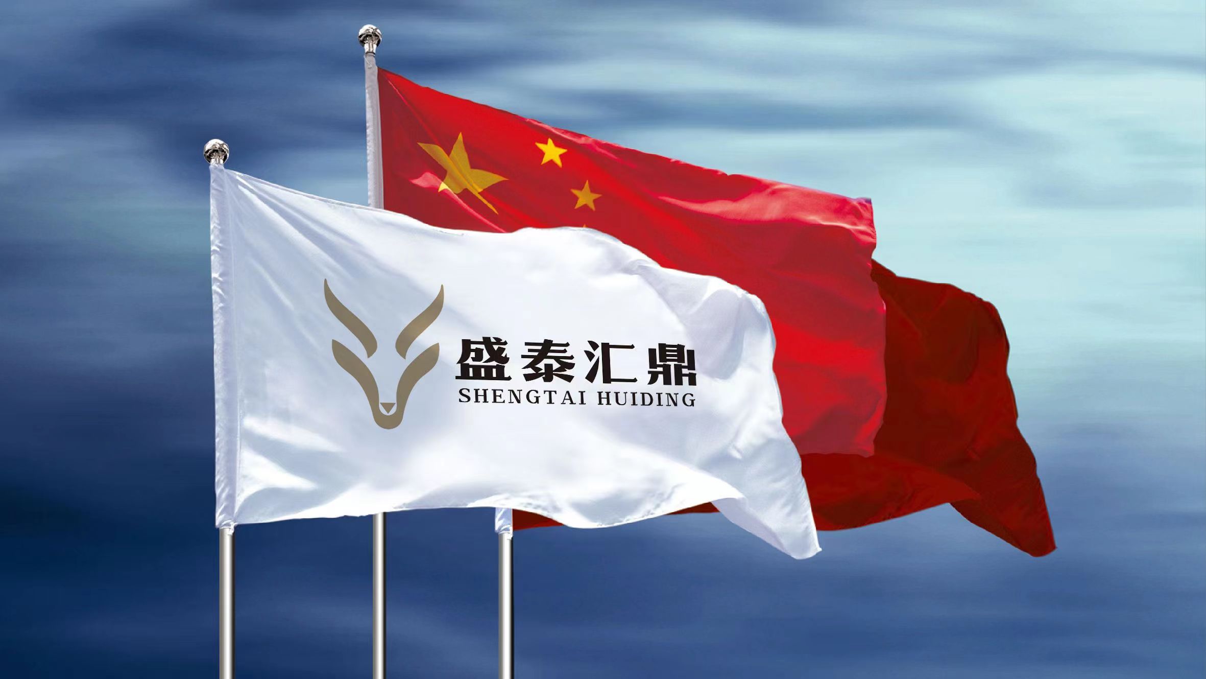 鑫鼎盛(鑫鼎盛赢网络科技有限公司)
